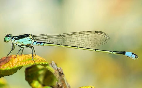 ׽���ѿ��D��Ԓ6ƪ[���A]