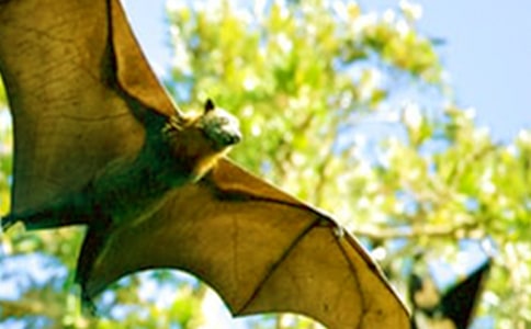 ����������_(d��)���n��