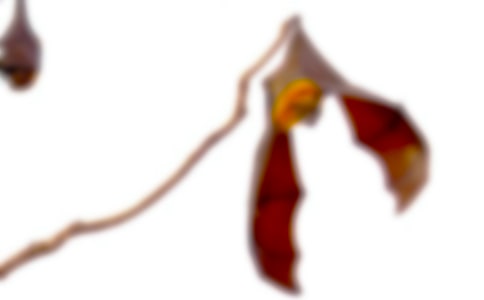 ׽��������3ƪ