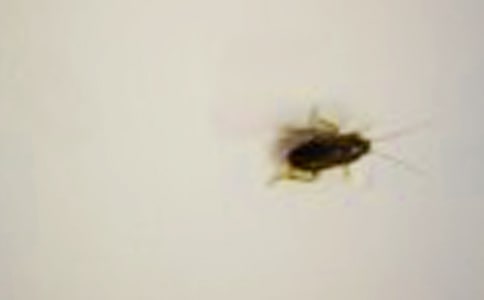 ����ힸ���x�ʹ�