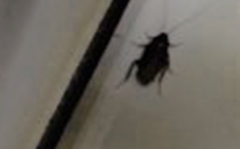 ������������ͨ�ã�3ƪ��