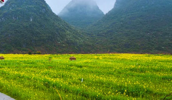 �����W(xu��)��������ӛ